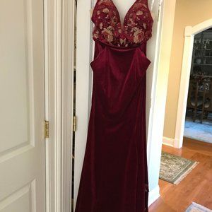 Ellie Wilde Velvet Gown